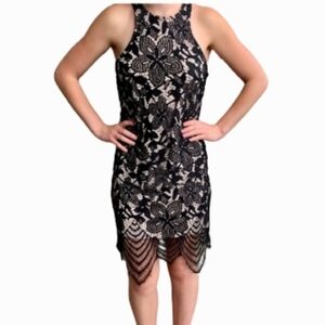 Express lace overlay body con dress/partydress
